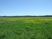 Featured Property